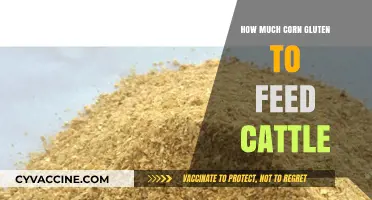 Optimal Corn Gluten Feeding for Cattle: A Comprehensive Guide