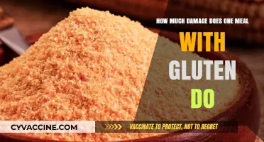 Unveiling the Impact: How One Gluten Meal Affects Your Body