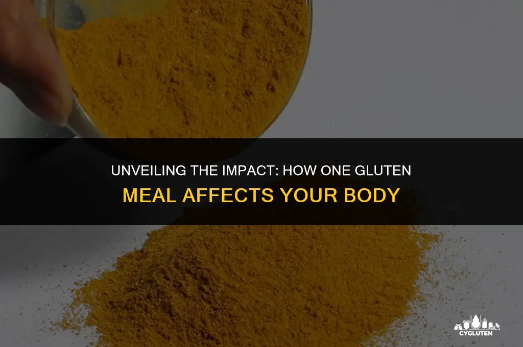 how much damage does one meal with gluten do