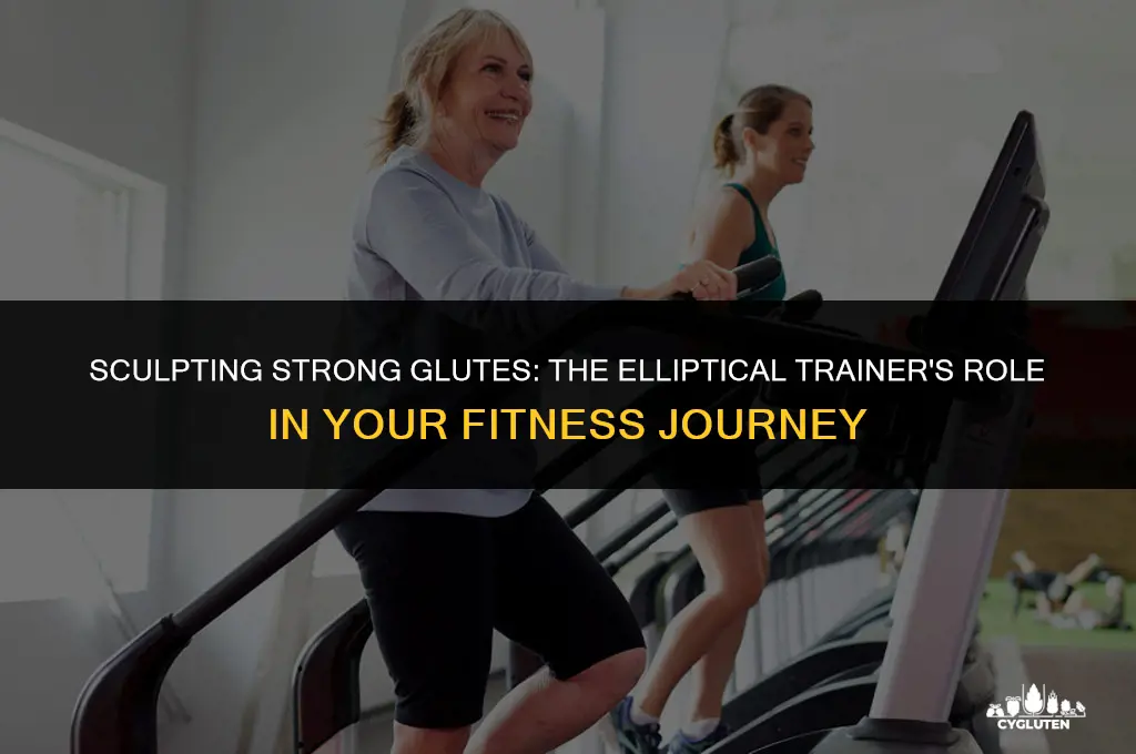 how much do elliptical trainers work glutes