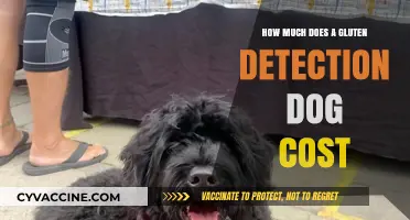Unveiling the Price Tag: Gluten Detection Dogs and Their Cost