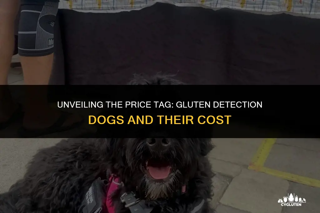 how much does a gluten detection dog cost
