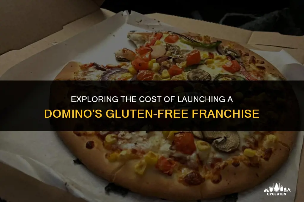 how much does it cost to open a domino
