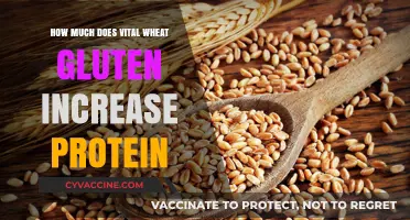 Boosting Protein Content: The Impact of Vital Wheat Gluten