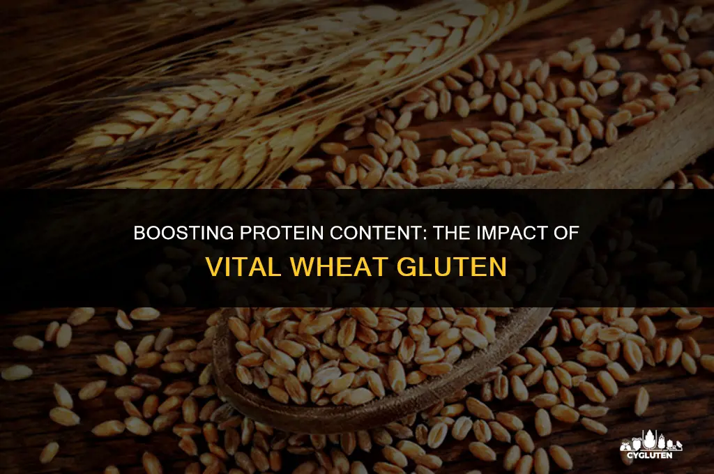 how much does vital wheat gluten increase protein