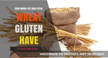 Exploring the Fat Content of Vital Wheat Gluten: A Nutritional Insight