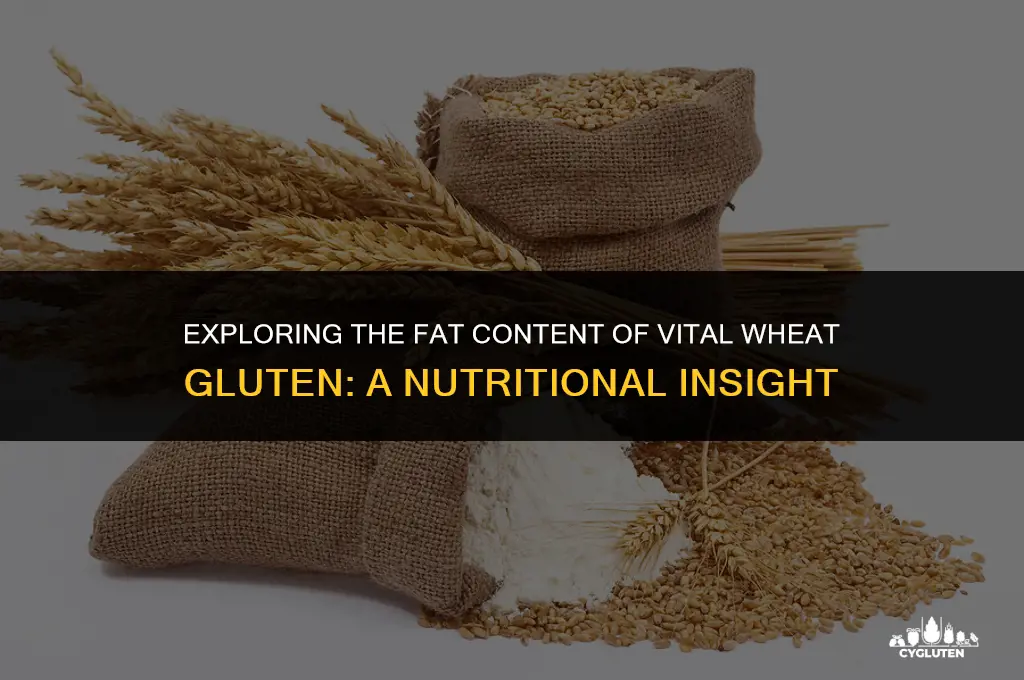 how much fat does vital wheat gluten have
