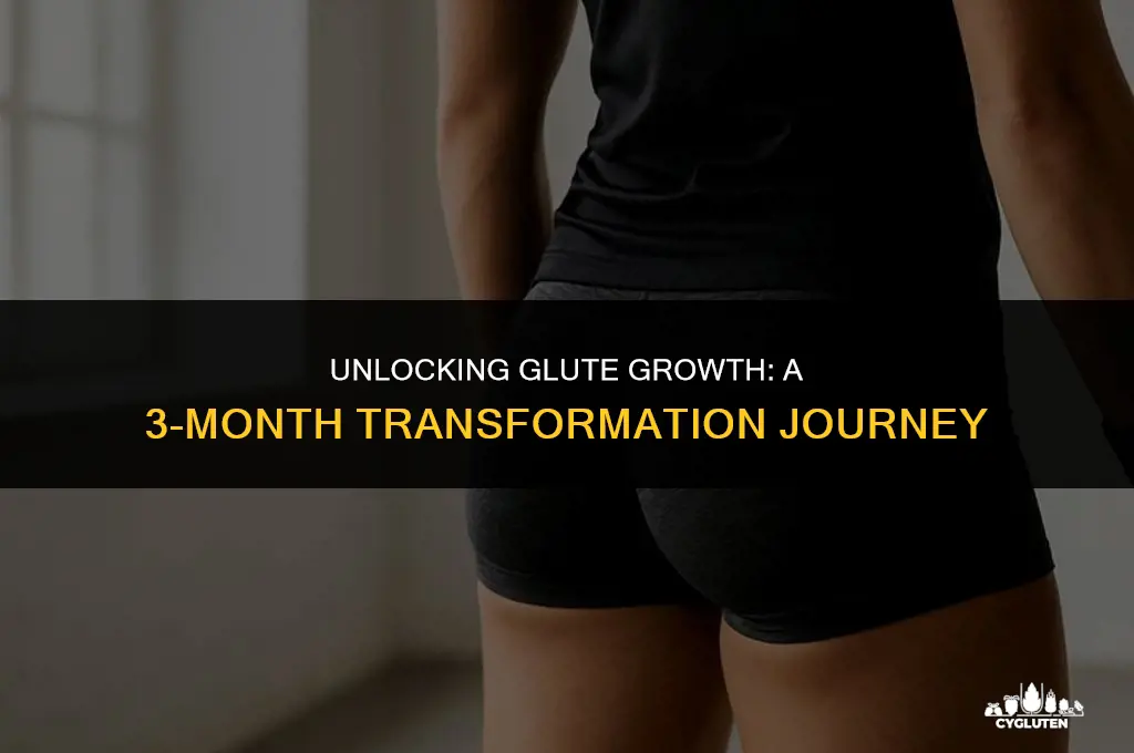 how much glute growth in 3 months