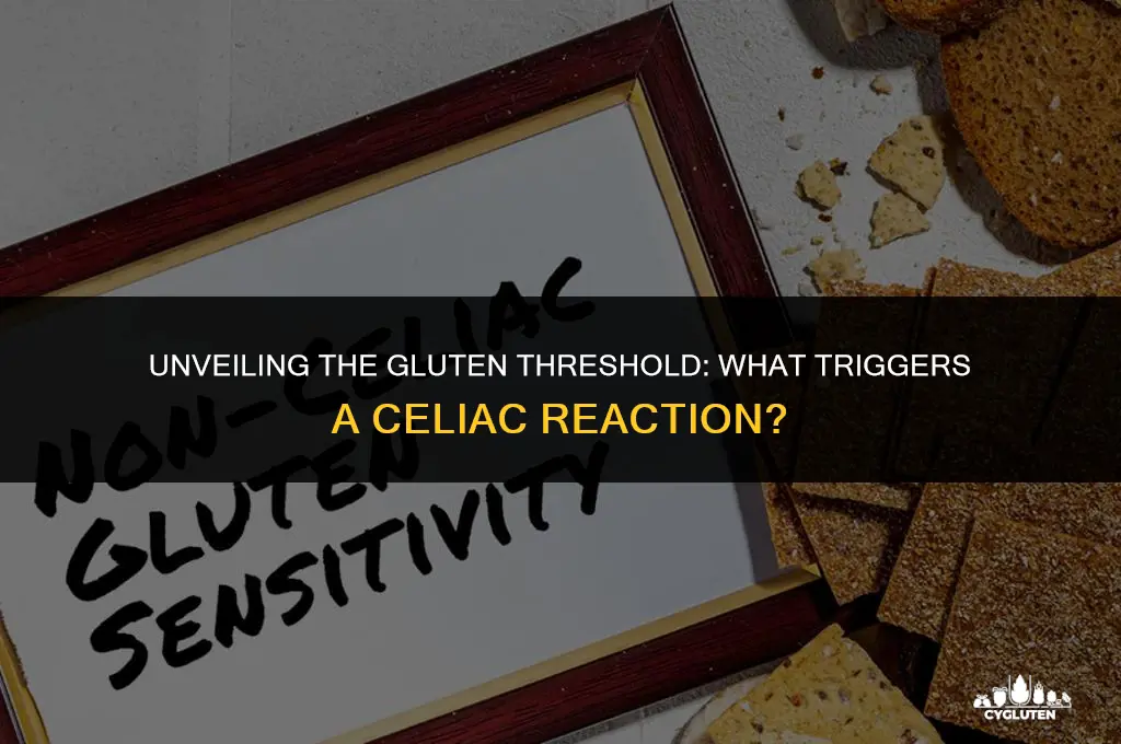 how much gluten causes a celiac reaction