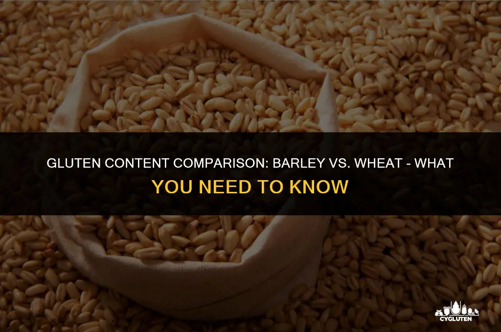 how much gluten does barley have compared to wheat