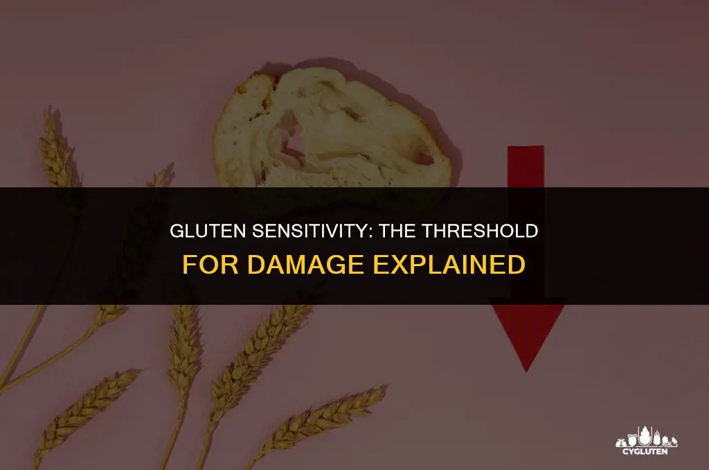 how much gluten does it take to cause damage