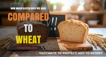 Rye vs. Wheat: A Comparative Look at Gluten Content