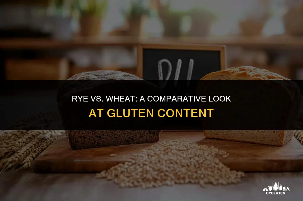 how much gluten does rye have compared to wheat
