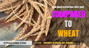Comparing Gluten Content: Spelt vs. Wheat - A Detailed Analysis
