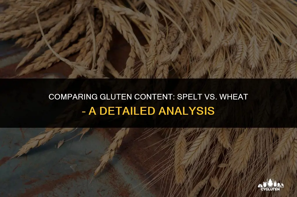 how much gluten does spelt have compared to wheat