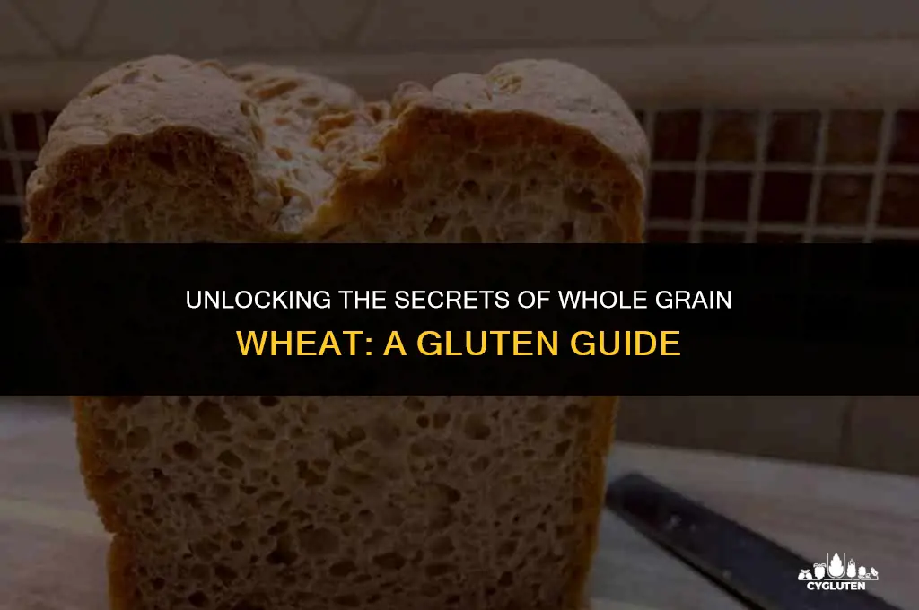 how much gluten does whole grain wheat have