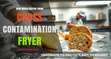Unveiling the Hidden Gluten: Cross-Contamination in Fryers Explained