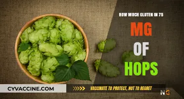 Exploring Gluten Content: How Much is in 75 mg of Hops?