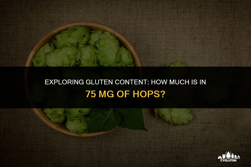 how much gluten in 75 mg of hops