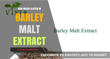 Exploring Gluten Content in Barley Malt Extract: A Comprehensive Guide