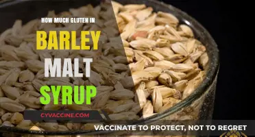 Exploring Gluten Content in Barley Malt Syrup: A Comprehensive Guide