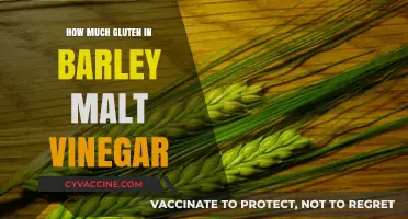 Exploring Gluten Content in Barley Malt Vinegar: A Comprehensive Guide