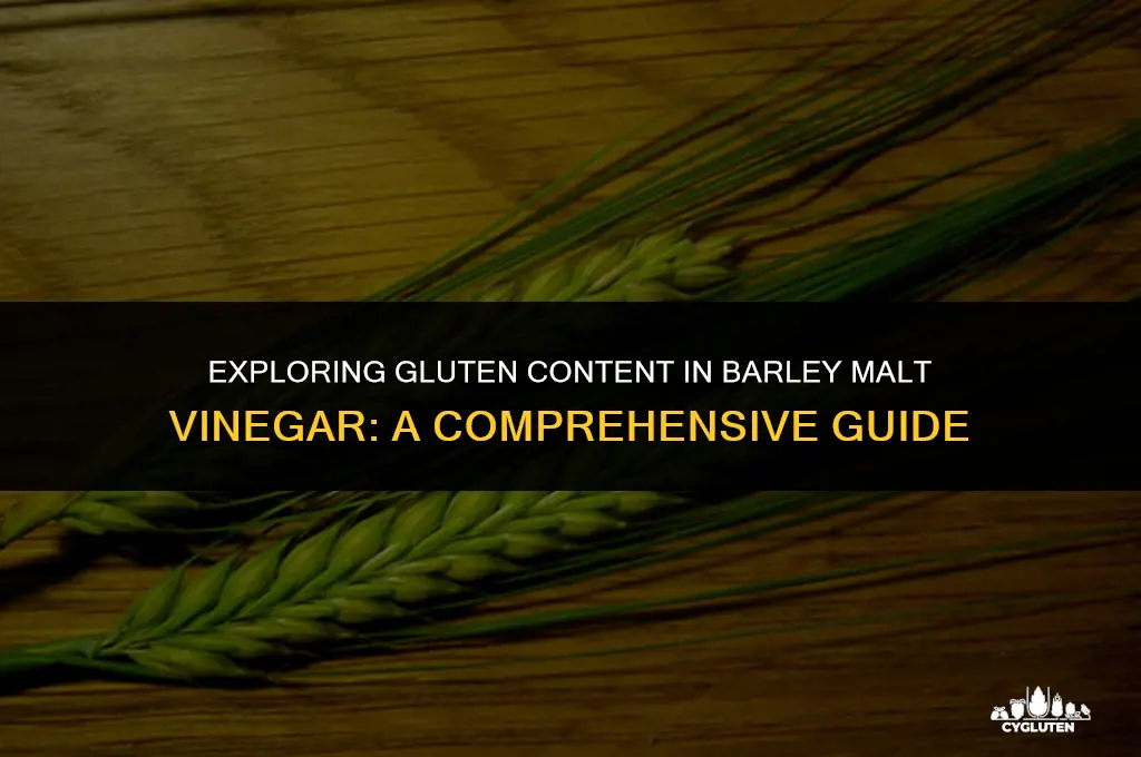 how much gluten in barley malt vinegar