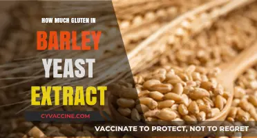 Exploring Gluten Content in Barley Yeast Extract: A Comprehensive Guide