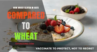 Comparing Gluten Content: Oats vs. Wheat - A Comprehensive Guide