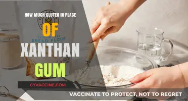 Gluten vs. Xanthan Gum: The Perfect Substitute Ratio for Baking Success