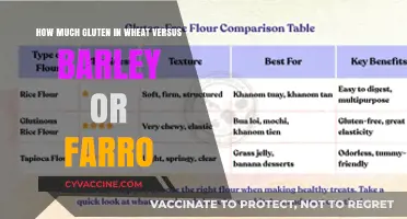 Comparing Gluten Content: Wheat vs. Barley vs. Farro