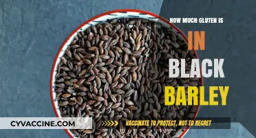 Exploring Gluten Content in Black Barley: A Comprehensive Guide