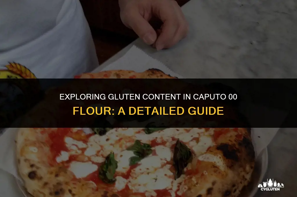 how much gluten is in caputo 00