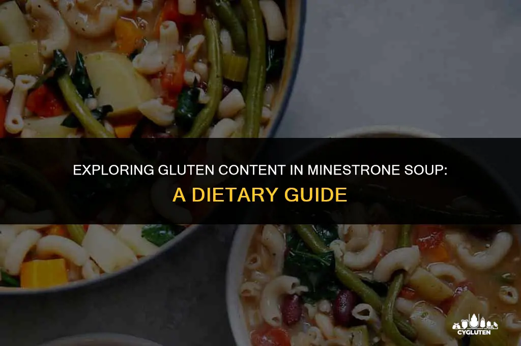 how much gluten is in minestrone soup