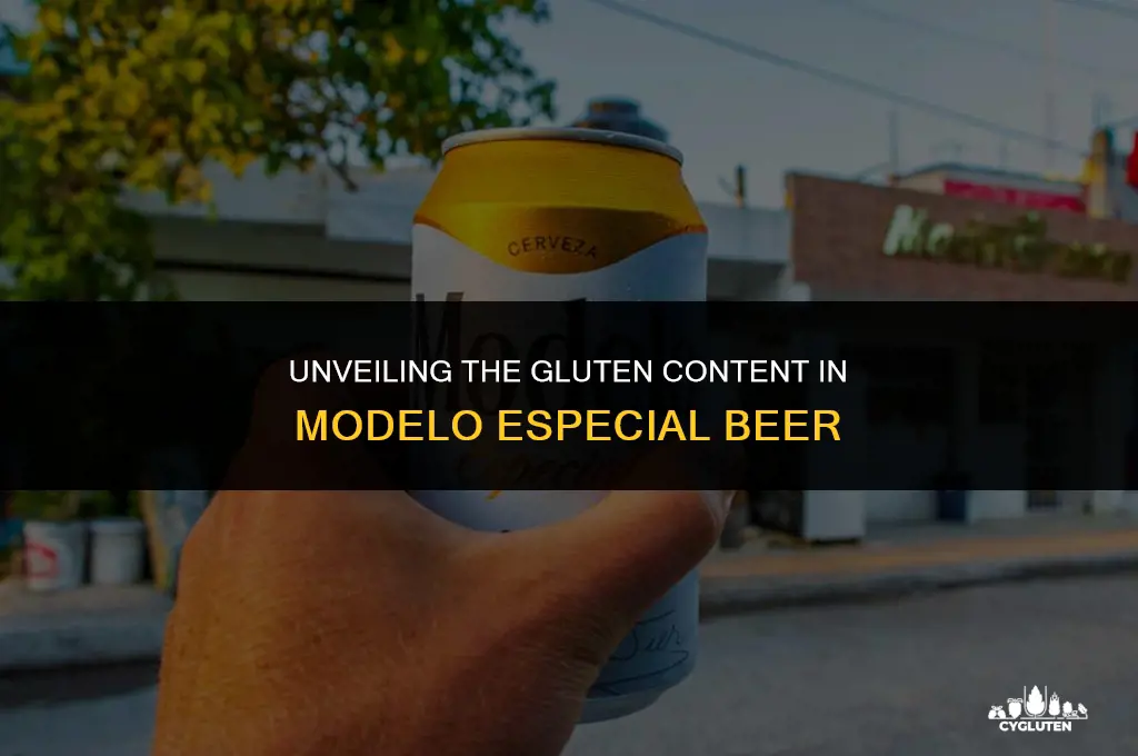 how much gluten is in modelo especial