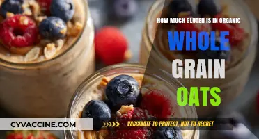 Exploring Gluten Content in Organic Whole Grain Oats: A Comprehensive Guide