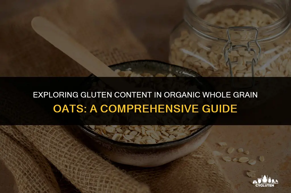 how much gluten is in organic whole grain oats