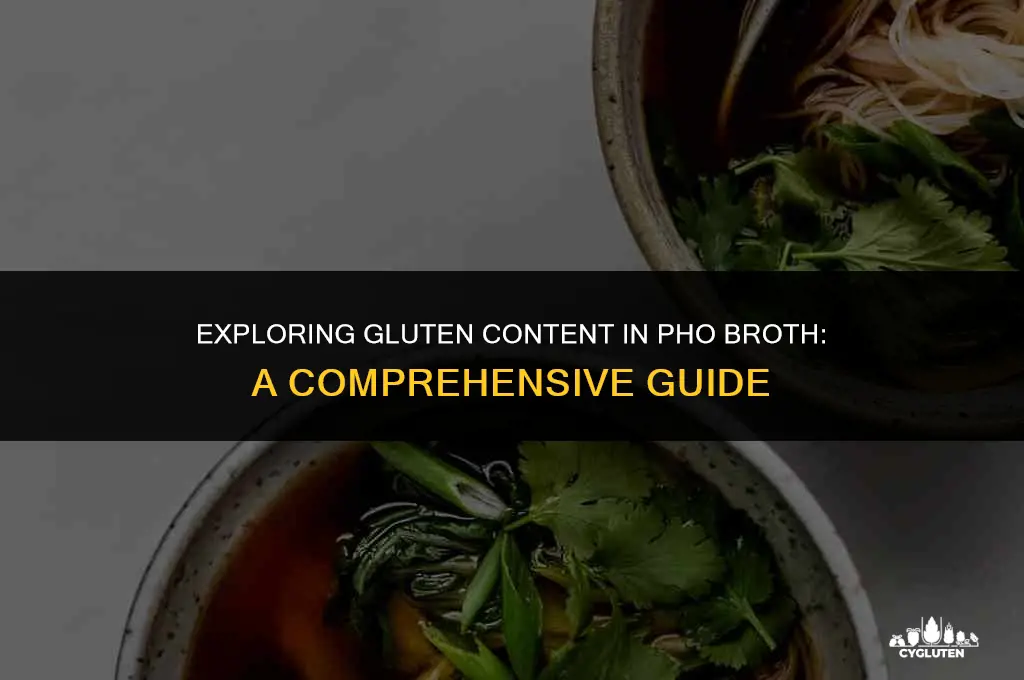 how much gluten is in pho broth