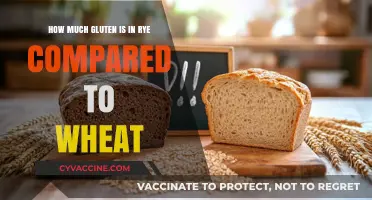 Rye vs. Wheat: Unraveling the Gluten Content Mystery
