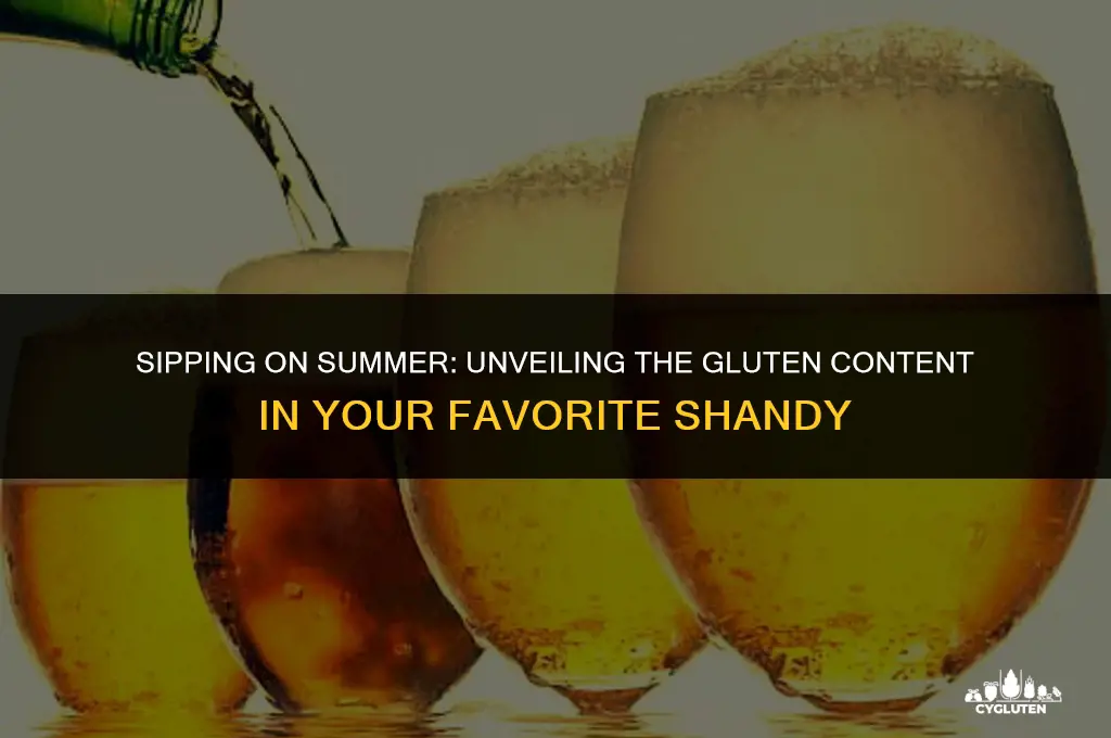 how much gluten is in summer shandy