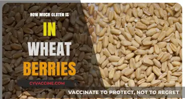 Exploring Gluten Content in Wheat Berries: A Comprehensive Guide