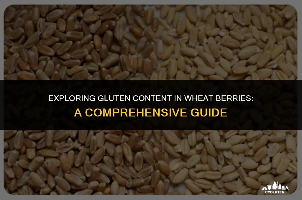 how much gluten is in wheat berries