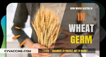 Unveiling the Gluten Content in Wheat Germ: A Nutritional Insight