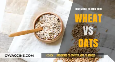 Comparing Gluten Content: Wheat vs Oats Uncovered
