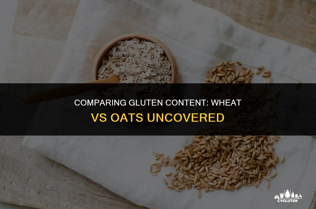 how much gluten is in wheat vs oats
