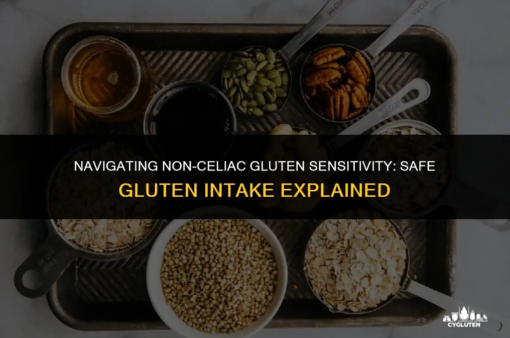 how much gluten is safe for ncgs