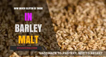 Exploring Gluten Content in Barley Malt: A Comprehensive Guide