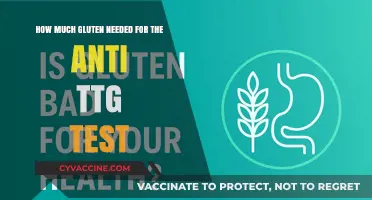 Understanding Gluten Intake for Accurate Anti-TTG Test Results