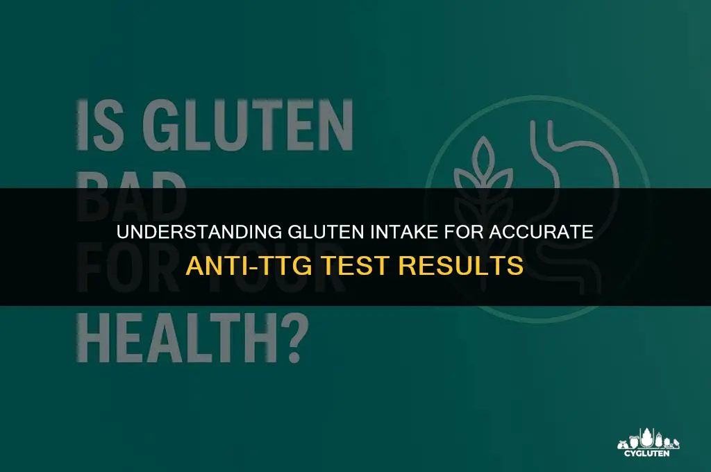how much gluten needed for the anti ttg test