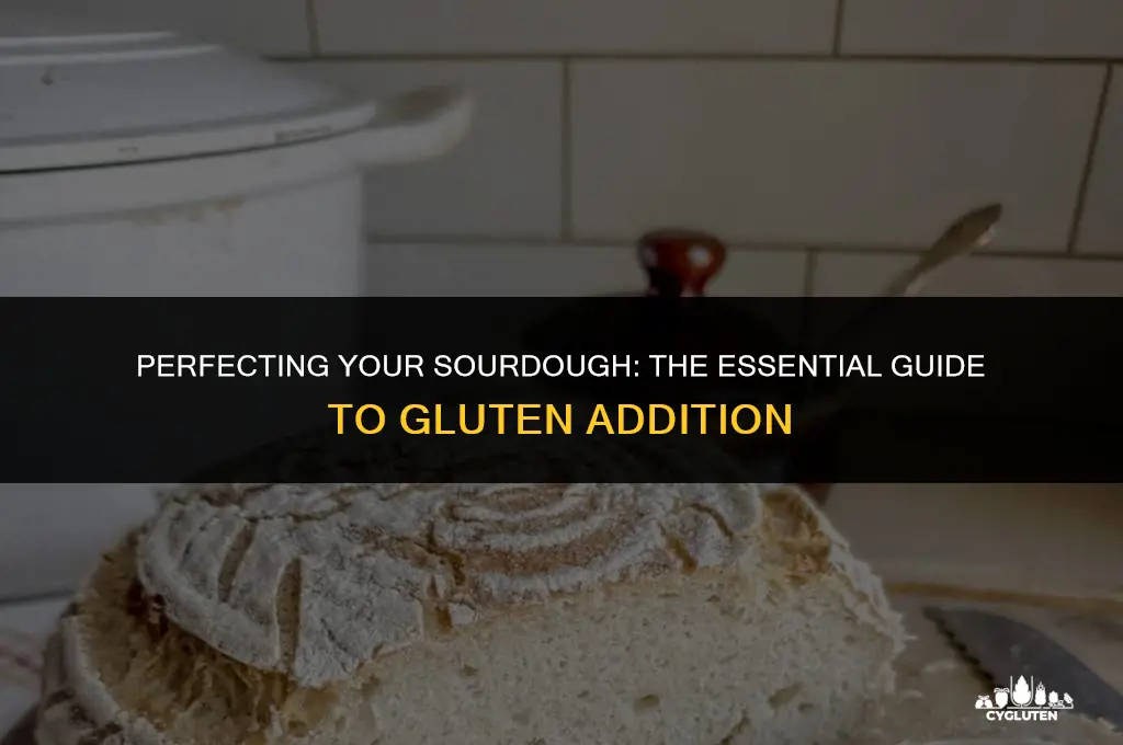 how much gluten to add to sourdough